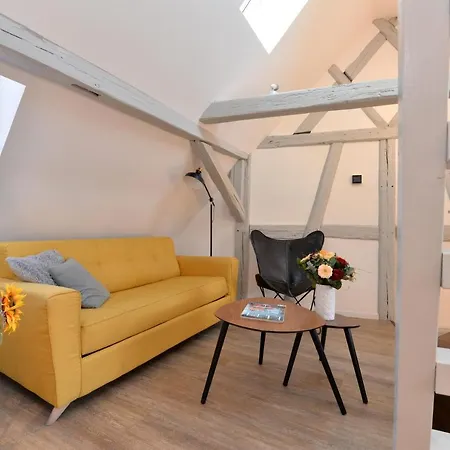Apartment La Petite Terrasse Sur Les Toits Colmar