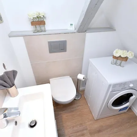 Apartment La Petite Terrasse Sur Les Toits Colmar