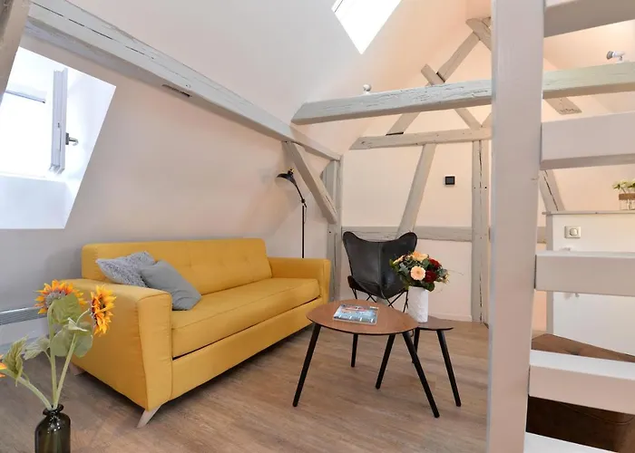 Appartamento La Petite Terrasse Sur Les Toits Colmar
